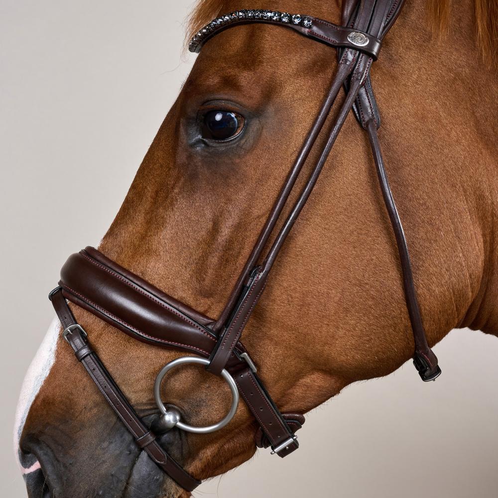 Bridle Round with Large Noseband Soft Leather SO |  | innovative — Image 8