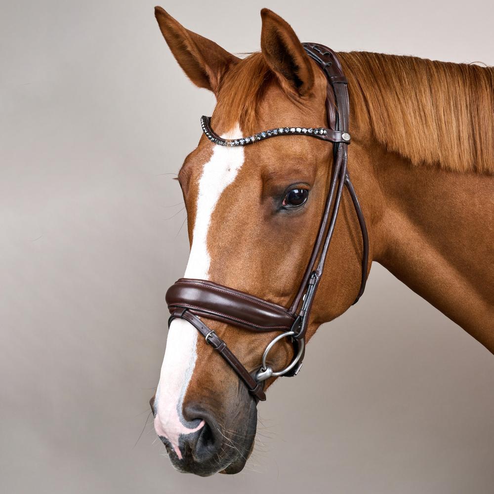 Bridle Round with Large Noseband Soft Leather SO |  | innovative — Image 7