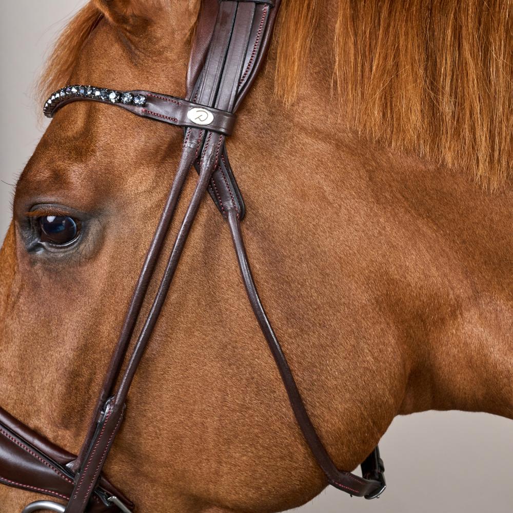 Bridle Round with Large Noseband Soft Leather SO |  | innovative — Image 9