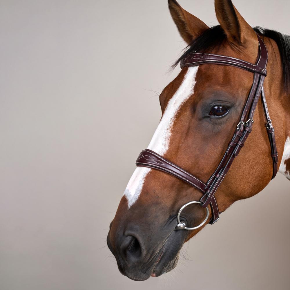Anatomic Noseband Without Flash |  | — Image 9