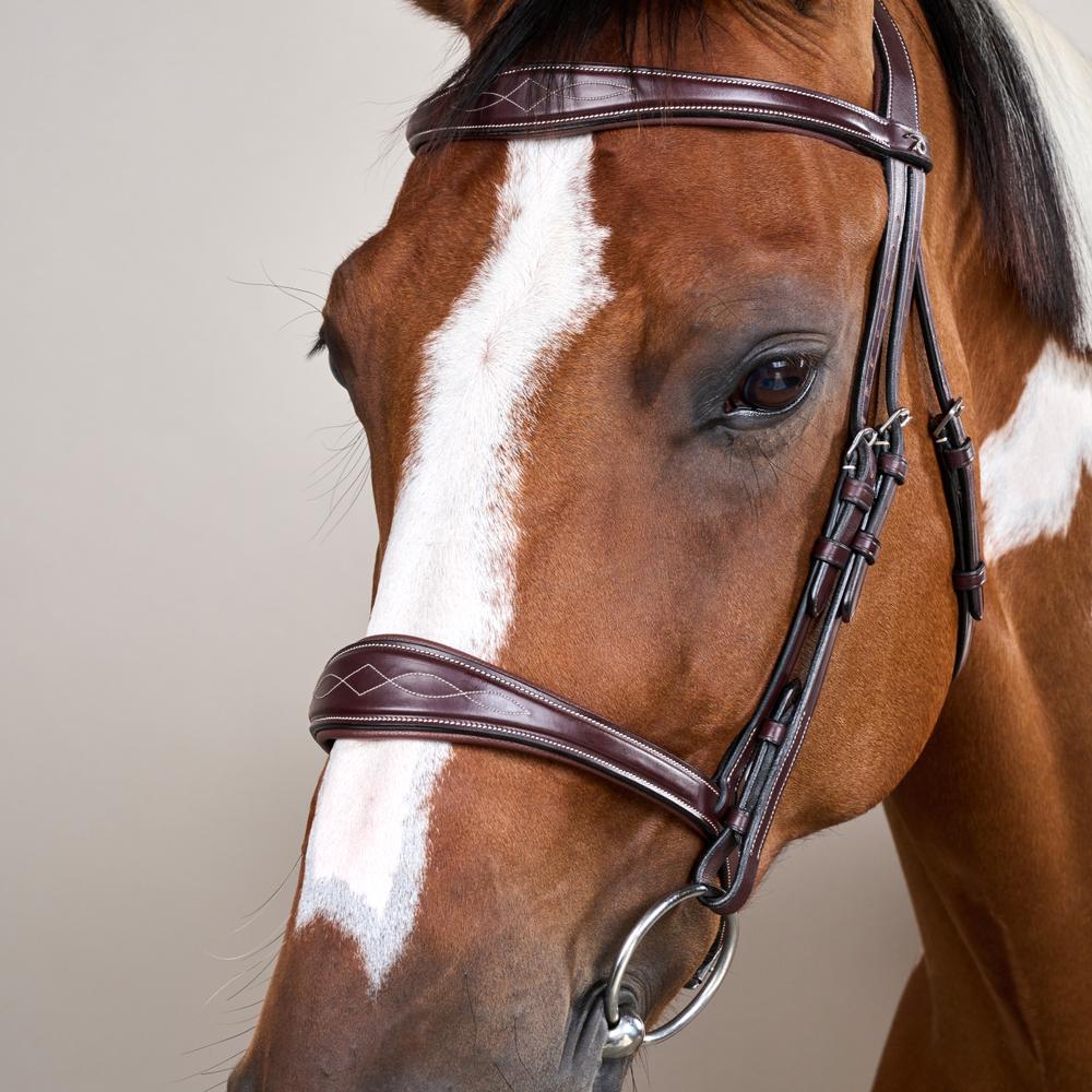 Anatomic Noseband Without Flash |  | — Image 10