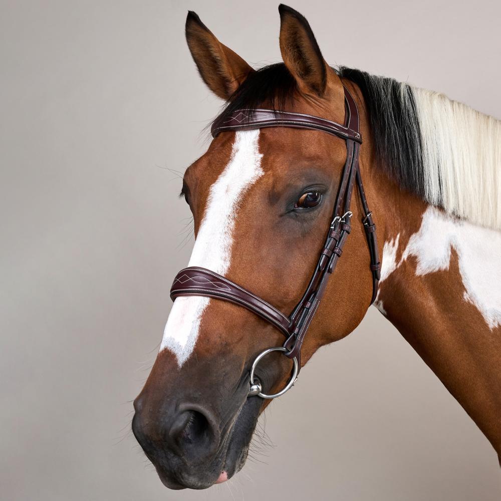 Anatomic Noseband Without Flash |  | — Image 7