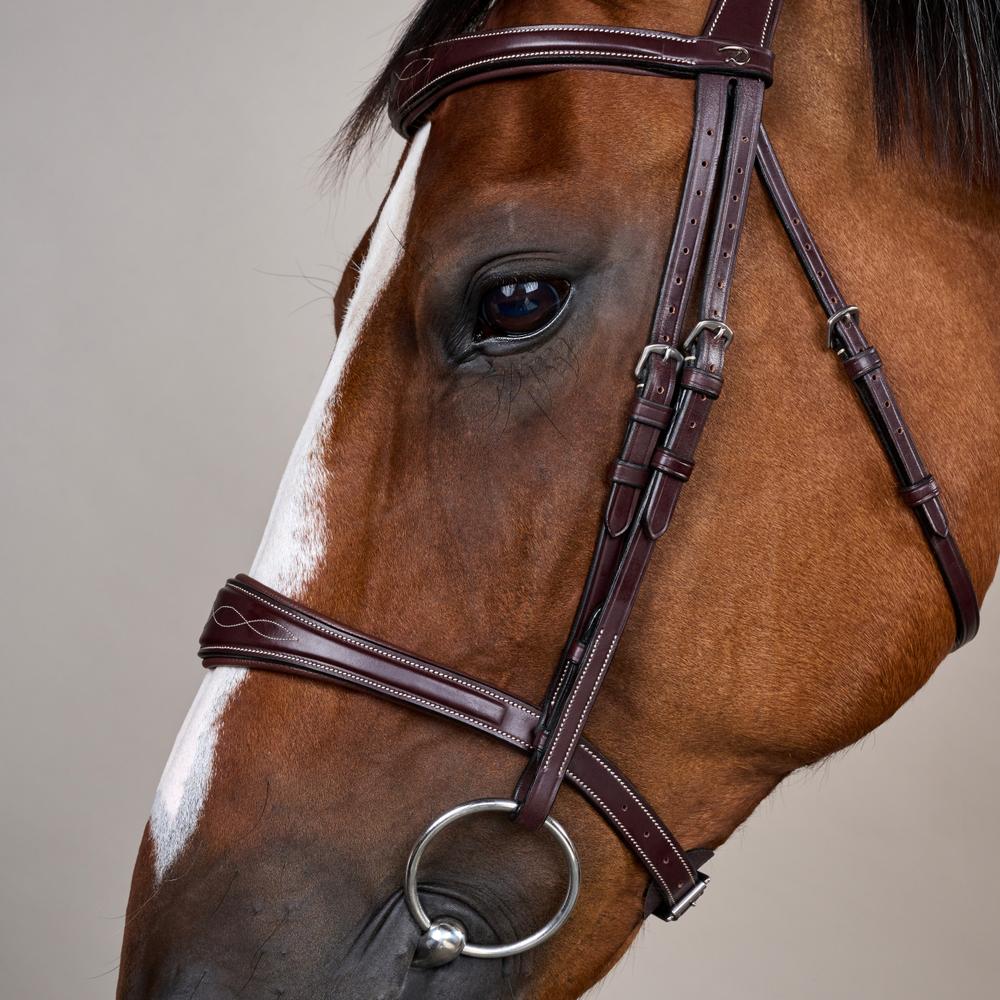 Anatomic Noseband Without Flash |  | — Image 8
