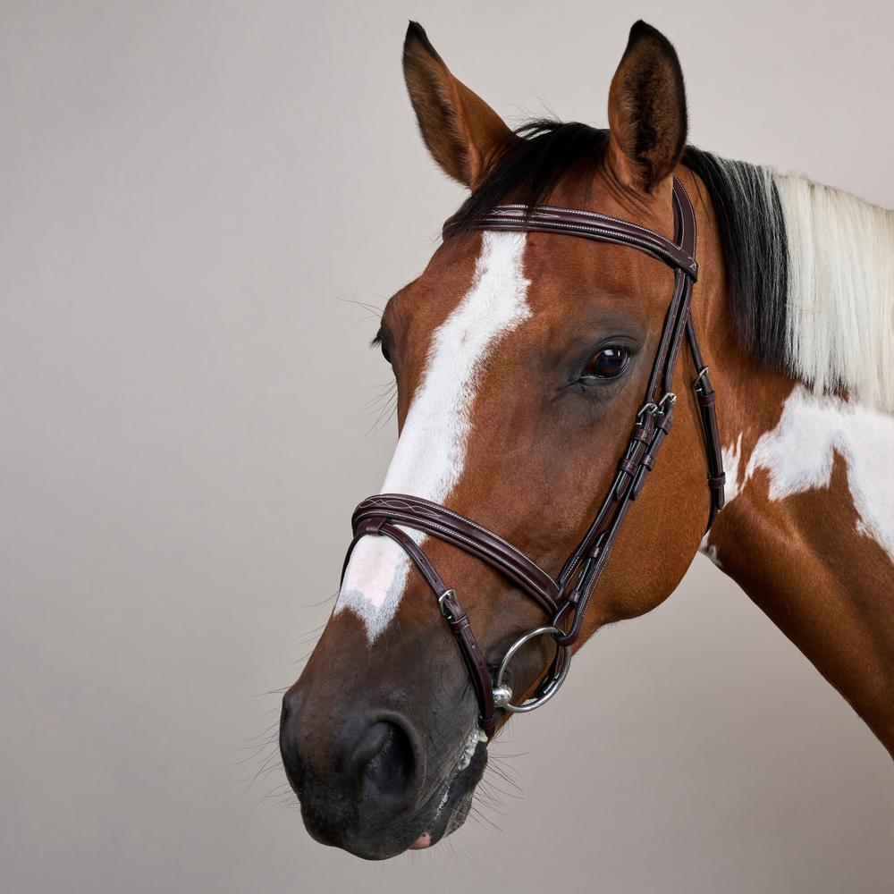 Flash Noseband Bridle US | Dy'on | elegantdesign — Image 3