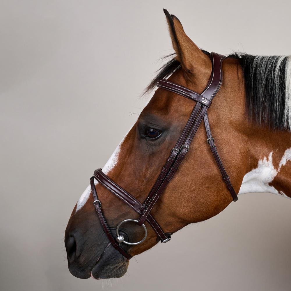 Flash Noseband Bridle US | Dy'on | elegantdesign — Image 4
