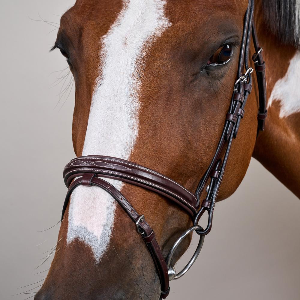 Flash Noseband Bridle US | Dy'on | elegantdesign — Image 5