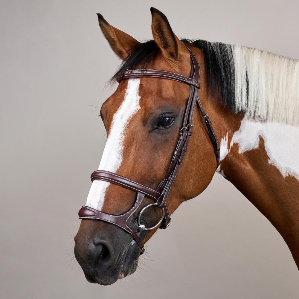 Double Noseband Bridle US | Dy'on | elegantdesign — Image 5