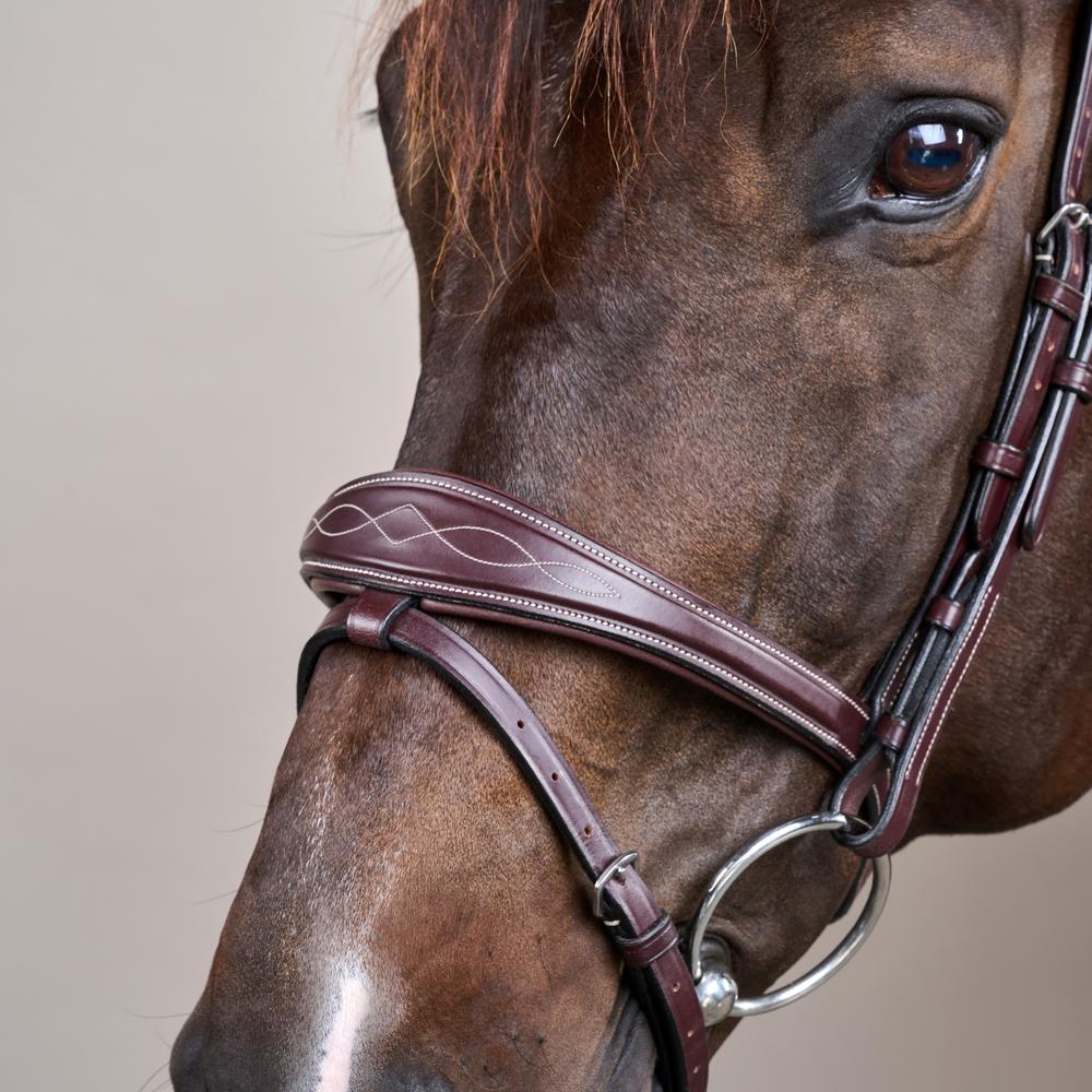 Anatomic Flash Noseband Bridle US | Dy'on | ErgonomicComfort — Image 5