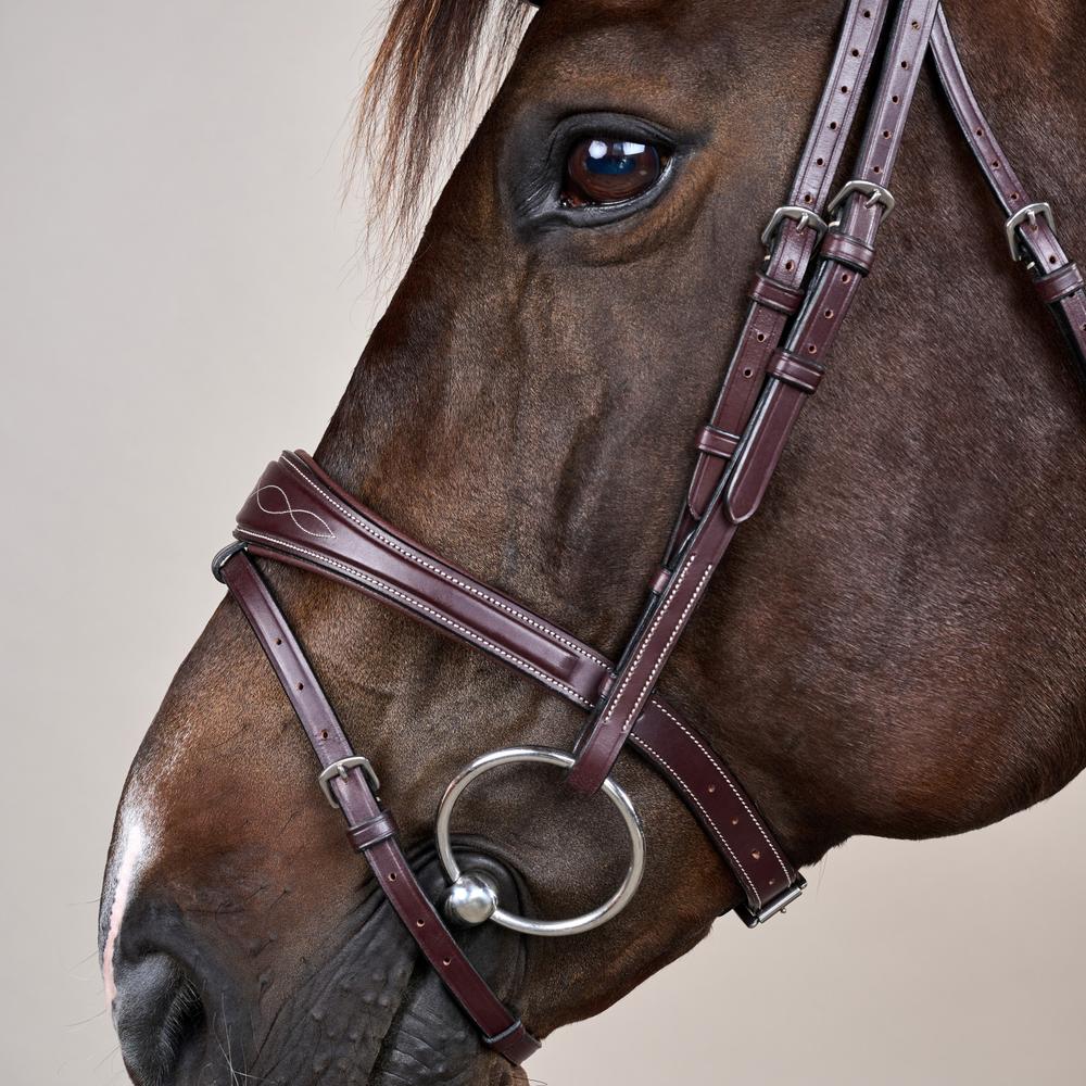 Anatomic Flash Noseband Bridle US | Dy'on | ErgonomicComfort — Image 4
