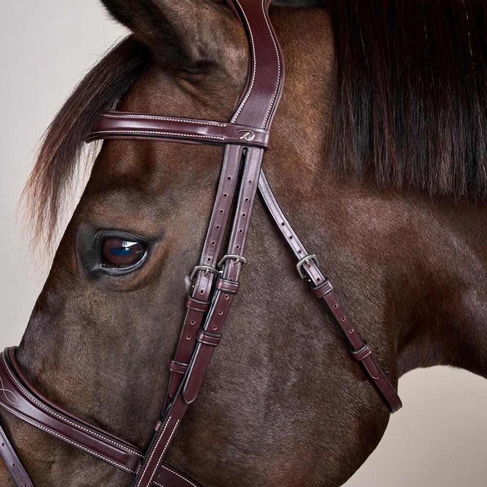 Anatomic Flash Noseband Bridle US | Dy'on | ErgonomicComfort — Image 3