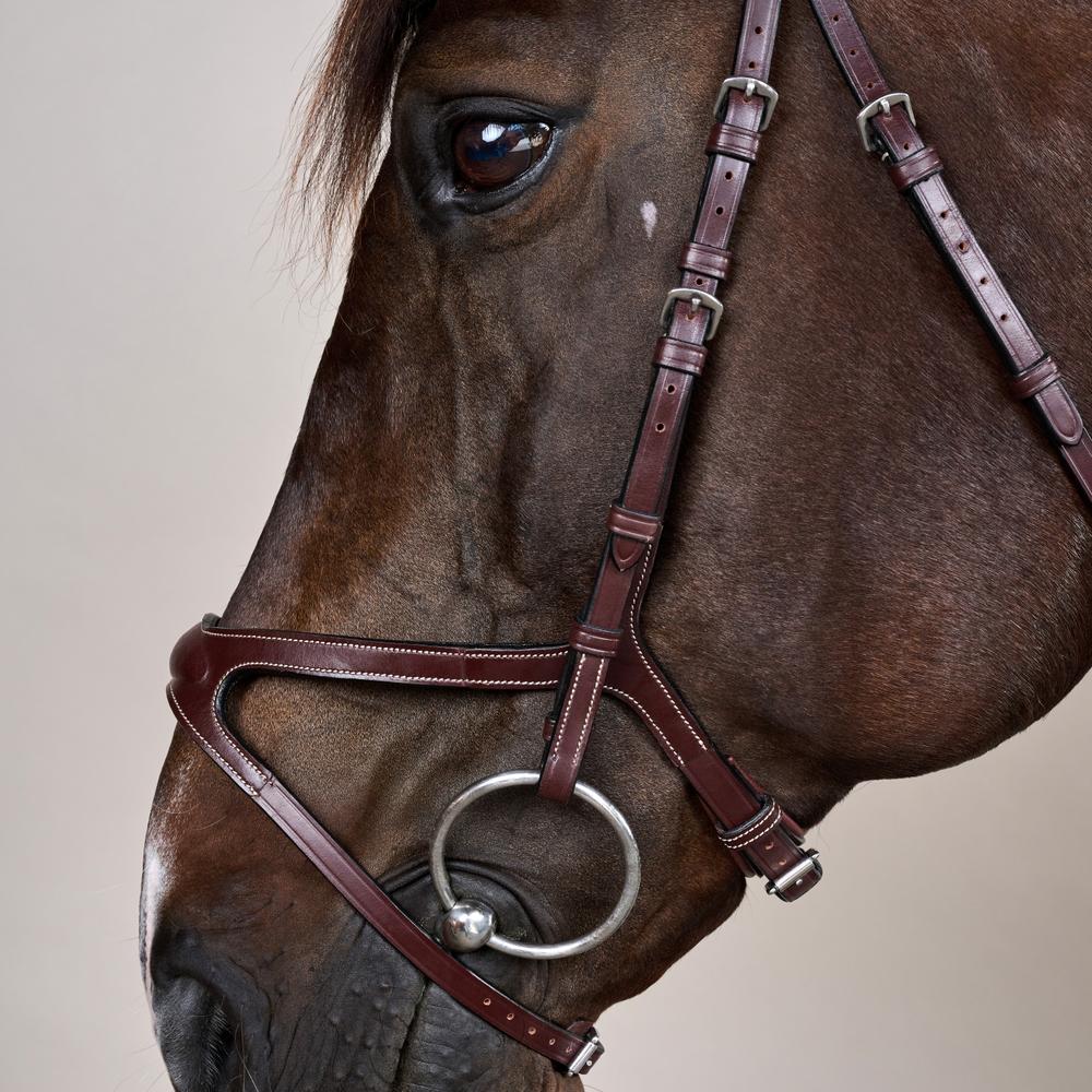 X-Fit Bridle US | Dy'on | comfort — Image 4