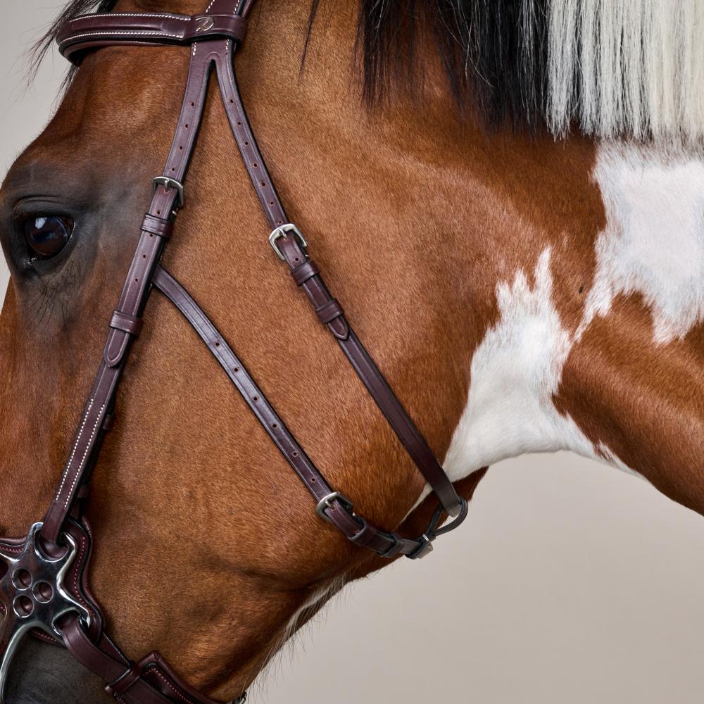 Hackamore Bridle US | Dy'on | Control — Image 6
