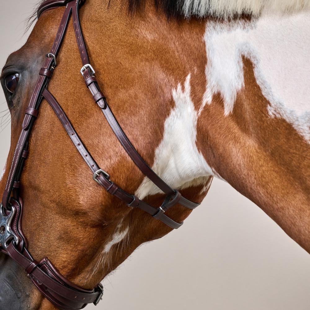 Hackamore Bridle US | Dy'on | Control — Image 7