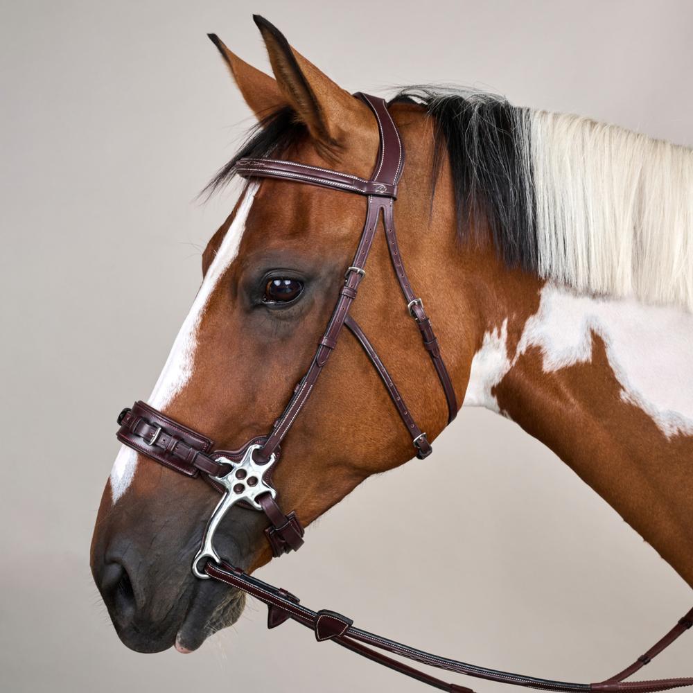 Hackamore Bridle US | Dy'on | Control — Image 3