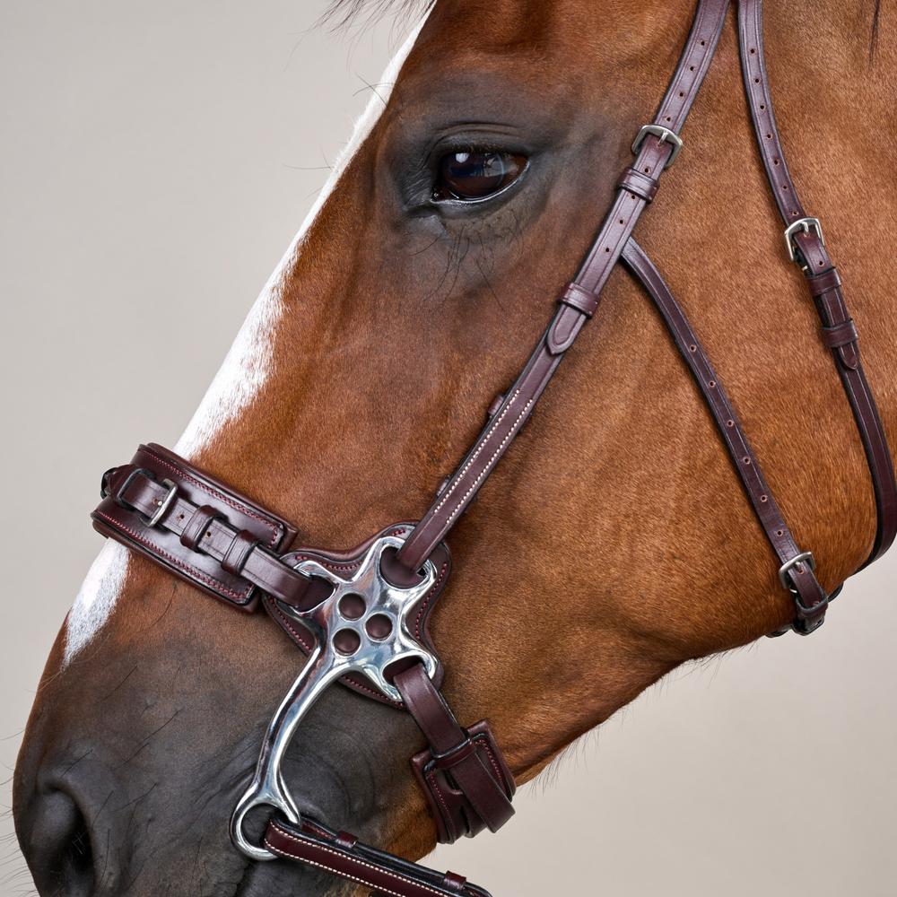 Hackamore Bridle US | Dy'on | Control — Image 4