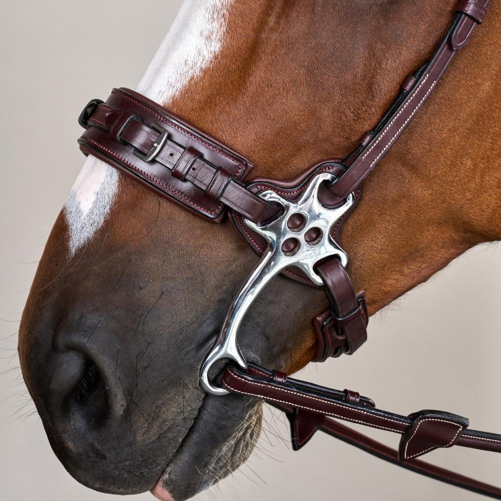 Hackamore Bridle US | Dy'on | Control — Image 5