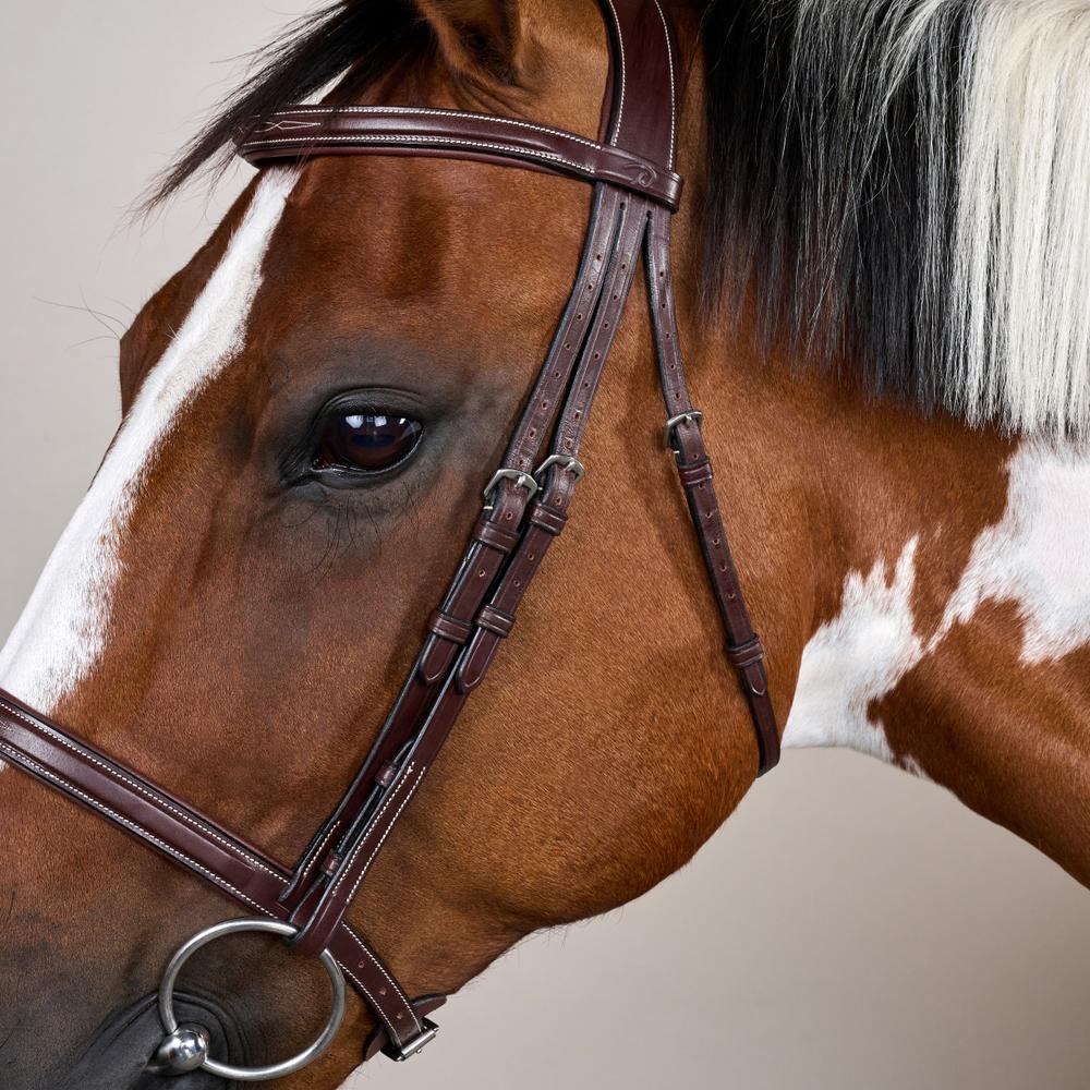 Cavesson Noseband Bridle US | Dy'on | Elegance — Image 3