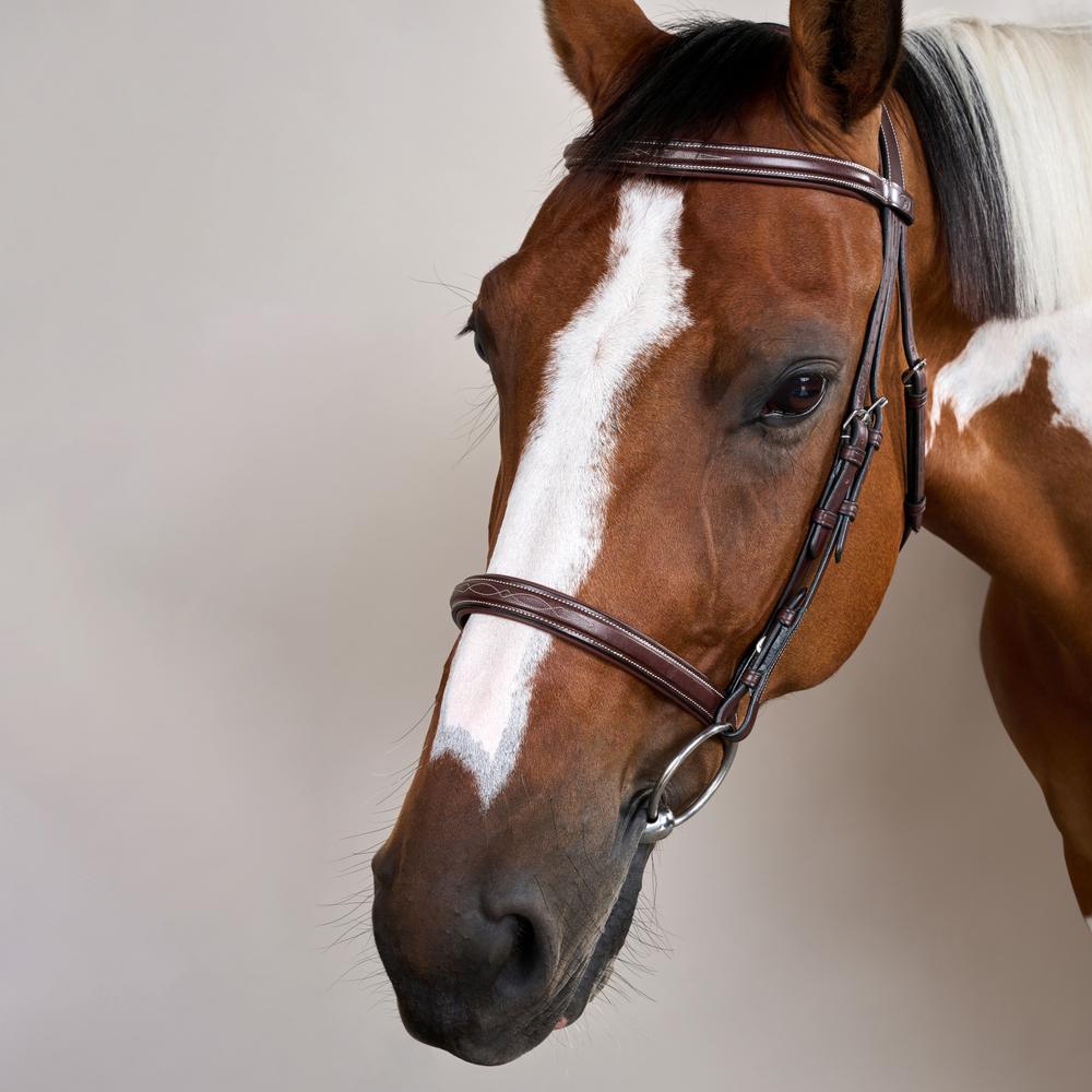 Cavesson Noseband Bridle US | Dy'on | Elegance — Image 5