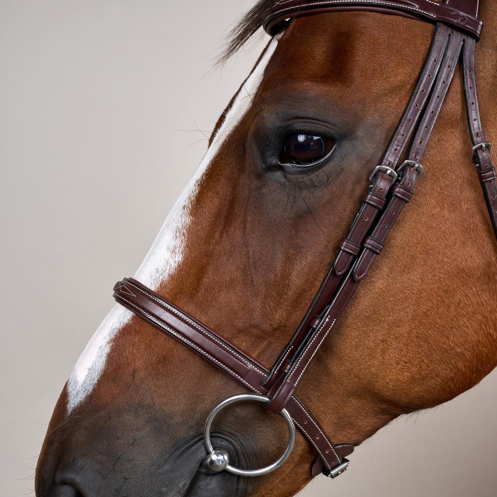 Cavesson Noseband Bridle US | Dy'on | Elegance — Image 4