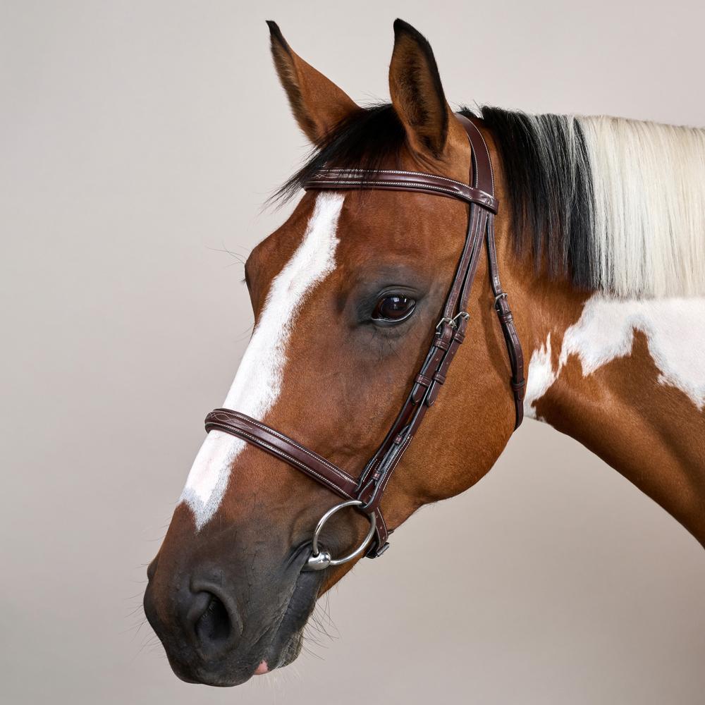 Cavesson Noseband Bridle US | Dy'on | Elegance — Image 2