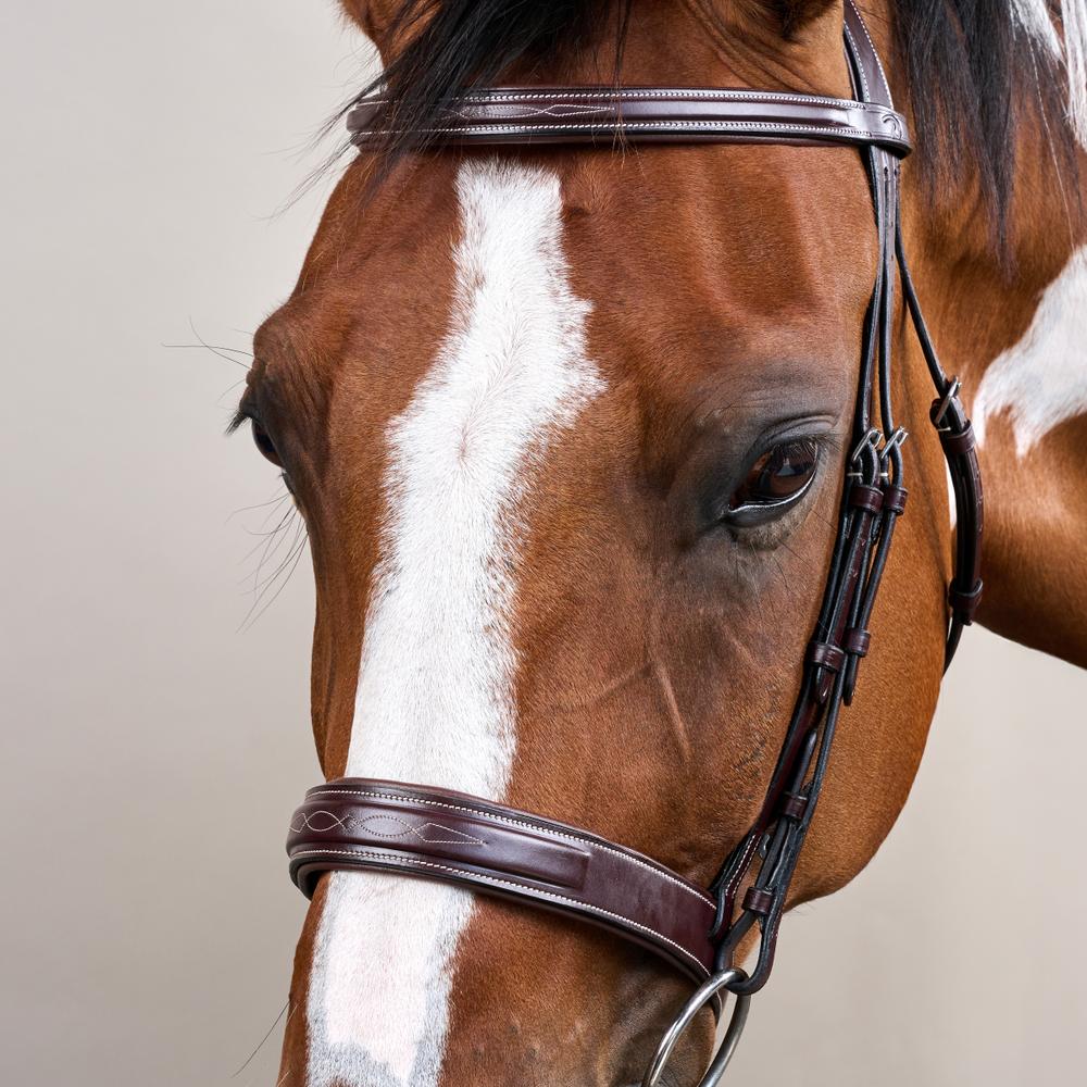 Wide Noseband Hunter Bridle US | Dy'on | elegantcomfort — Image 3