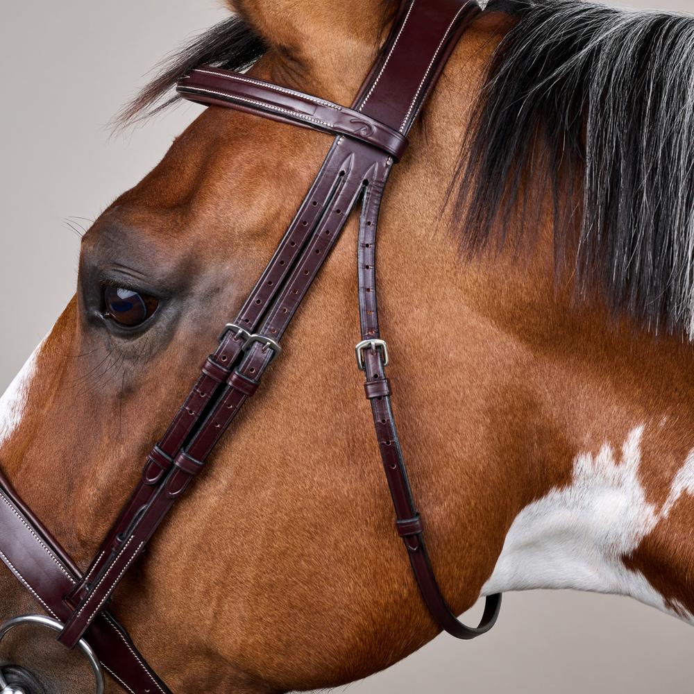 Wide Noseband Hunter Bridle US | Dy'on | elegantcomfort — Image 5