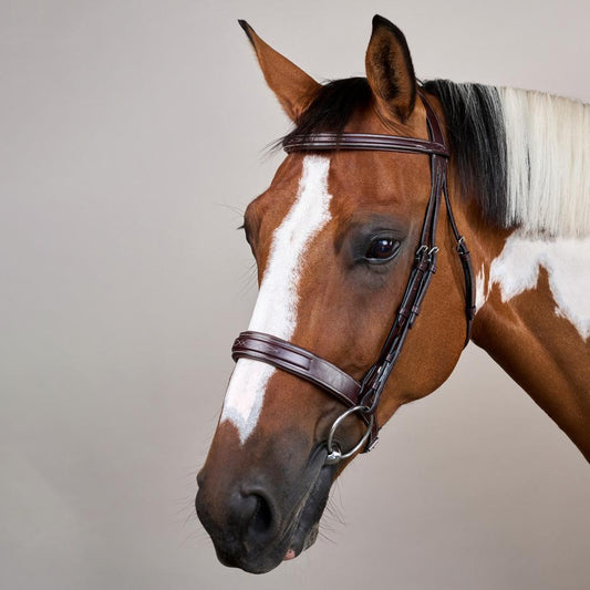 Wide Noseband Hunter Bridle US | Dy'on | elegantcomfort — Image 2