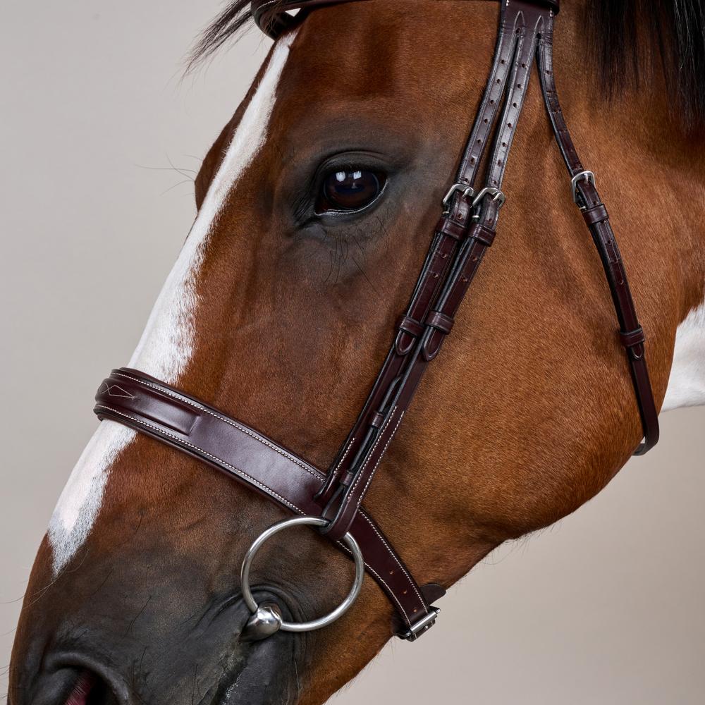 Wide Noseband Hunter Bridle US | Dy'on | elegantcomfort — Image 4