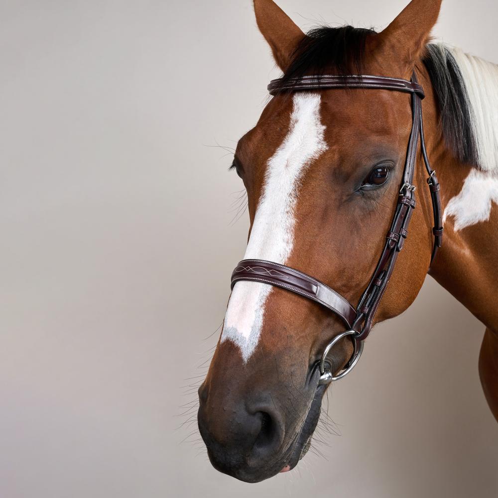 Cavesson Hunter Noseband Bridle US | Dy'on | elegance — Image 5