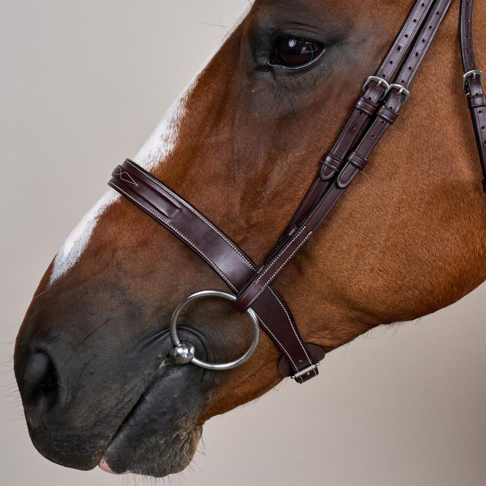 Cavesson Hunter Noseband Bridle US | Dy'on | elegance — Image 4