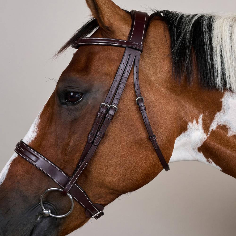 Cavesson Hunter Noseband Bridle US | Dy'on | elegance — Image 3