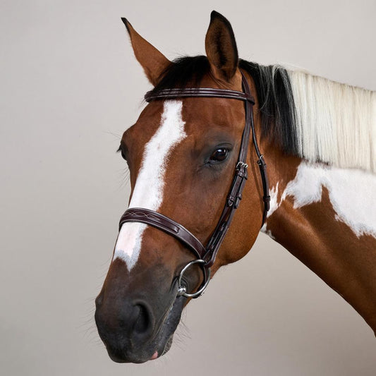 Cavesson Hunter Noseband Bridle US | Dy'on | elegance — Image 2