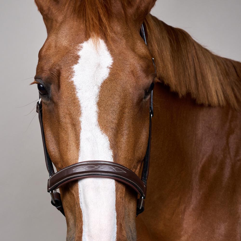 Head Collar Fancy | Dy'on | Durability — Image 6