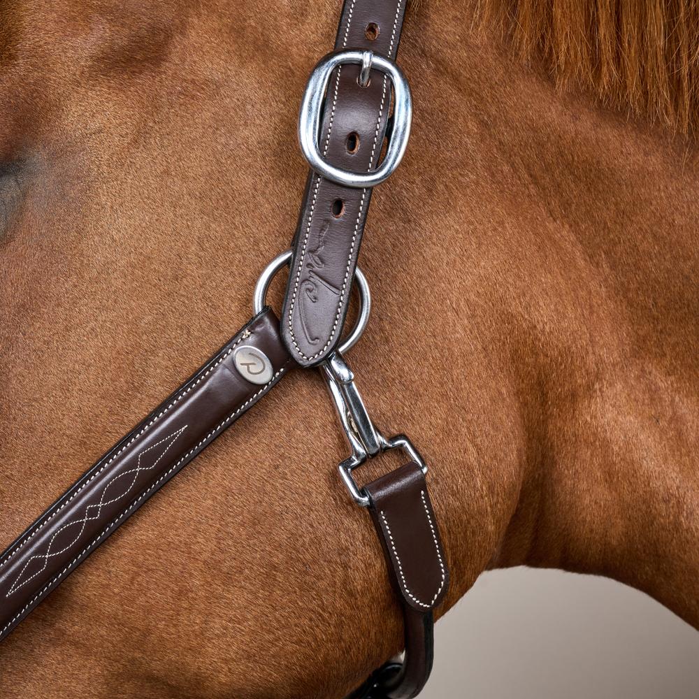 Head Collar Fancy | Dy'on | Durability — Image 5