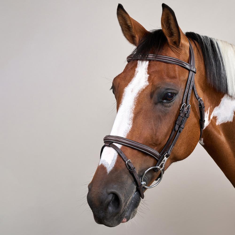Flash Noseband Bridle with Snap Cheekpieces WO | Dy'on | Durable — Image 2