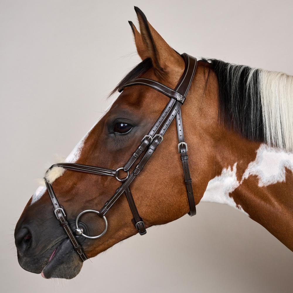 Figure 8 Noseband Bridle WO | Dy'on | Comfort — Image 9