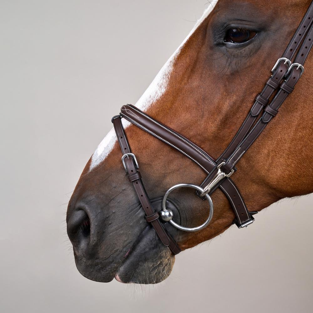 Flash Noseband Bridle with Snap Cheekpieces WO | Dy'on | Durable — Image 3