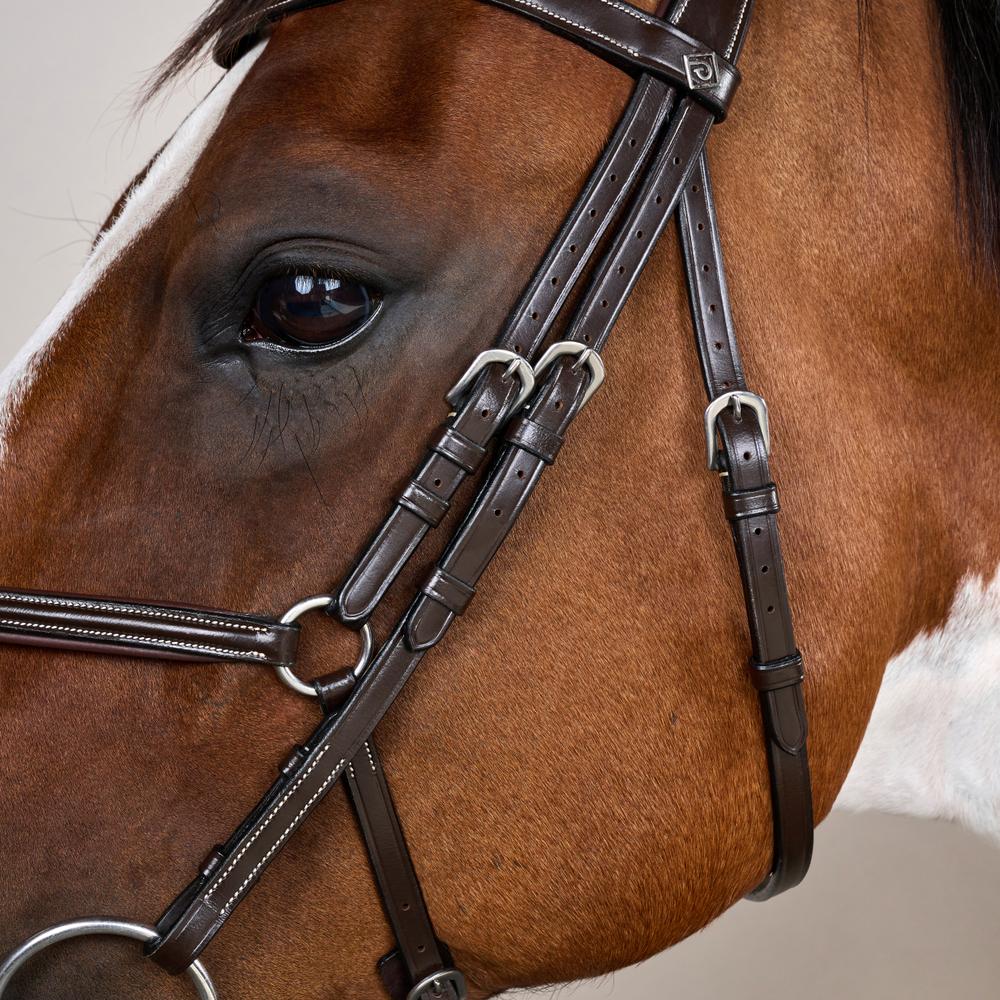 Figure 8 Noseband Bridle WO | Dy'on | Comfort — Image 11