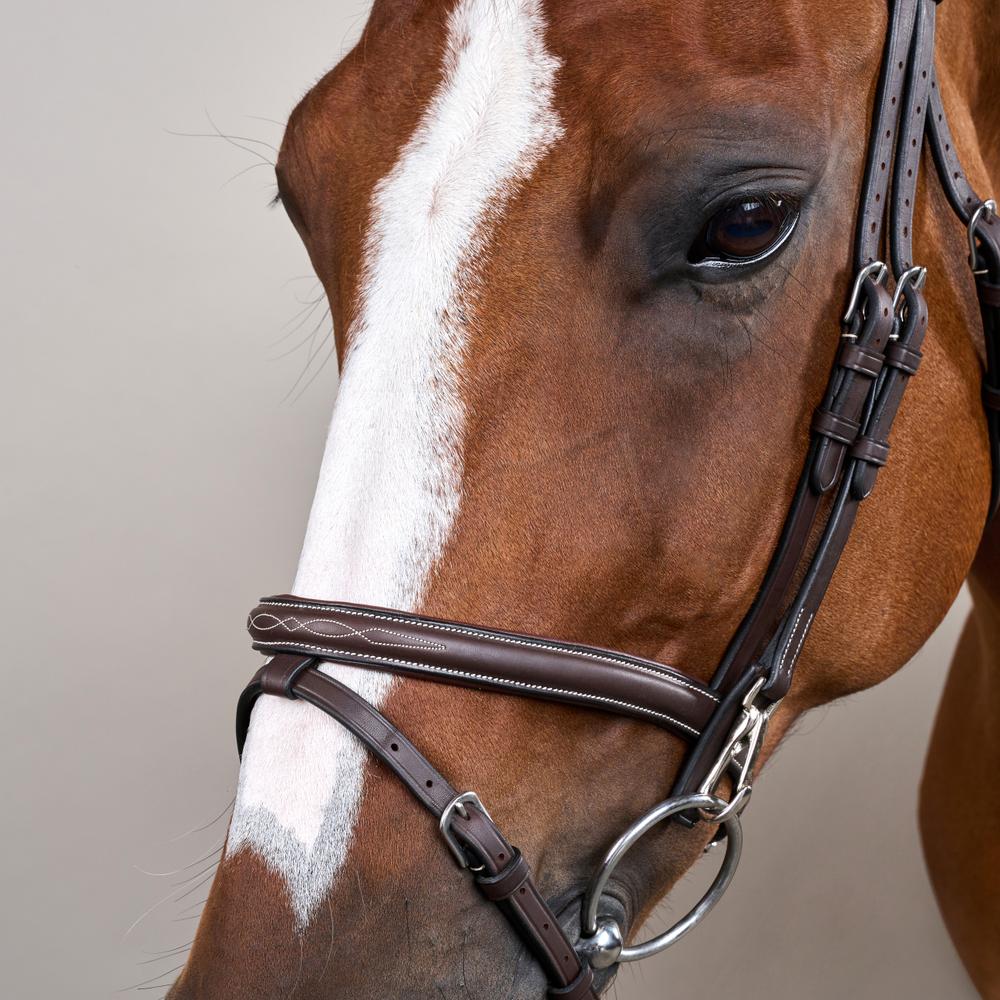 Flash Noseband Bridle with Snap Cheekpieces WO | Dy'on | Durable — Image 4