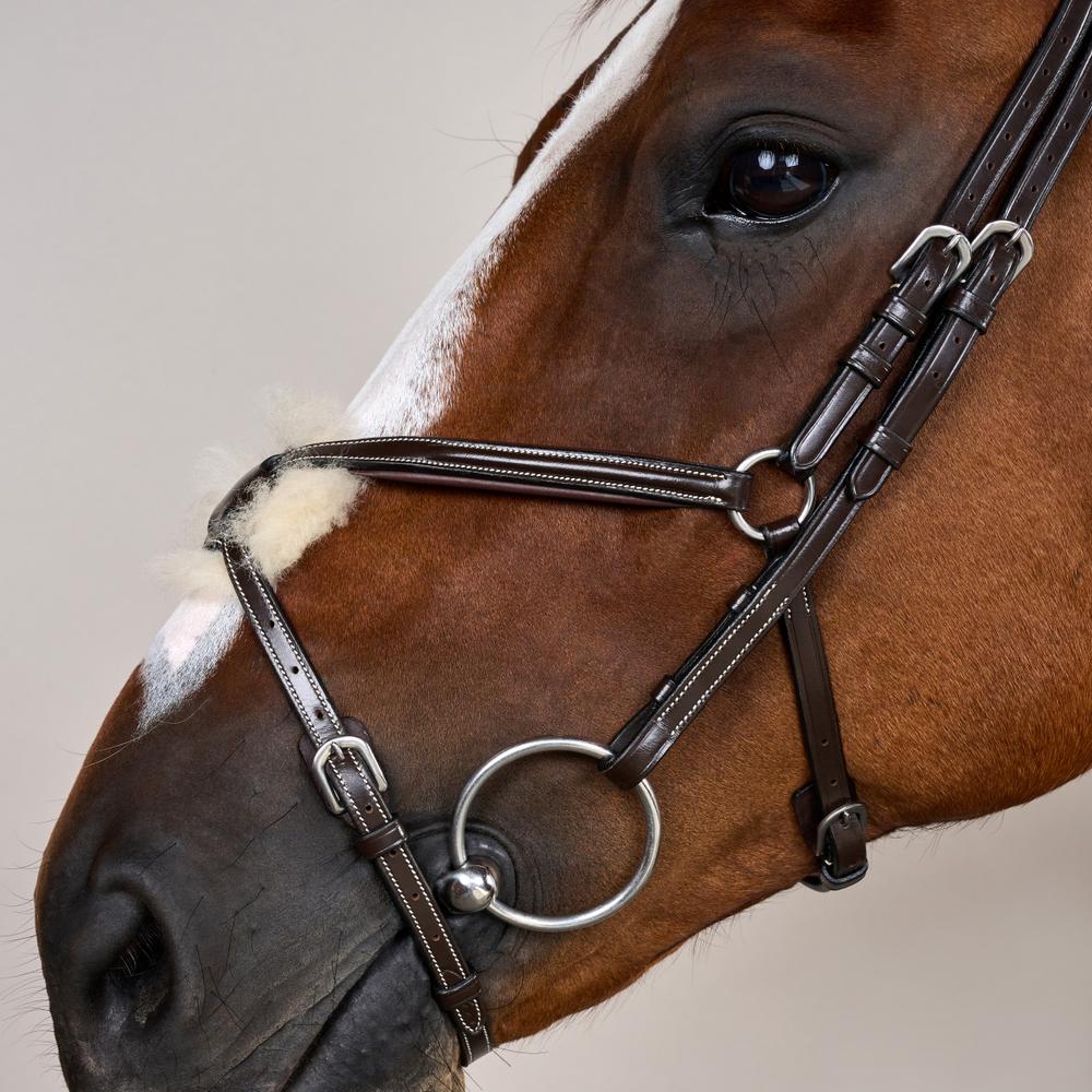 Figure 8 Noseband Bridle WO | Dy'on | Comfort — Image 10