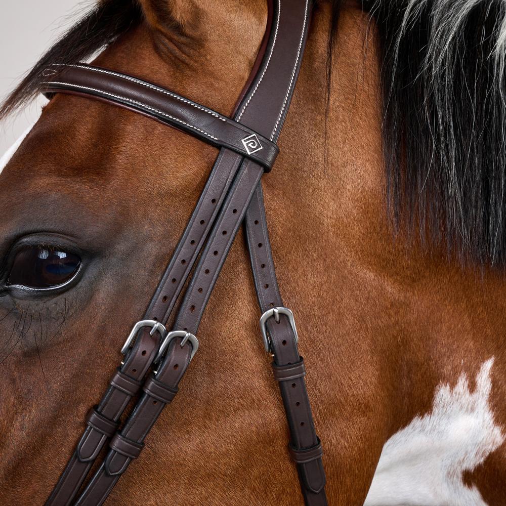 Flash Noseband Bridle with Snap Cheekpieces WO | Dy'on | Durable — Image 5
