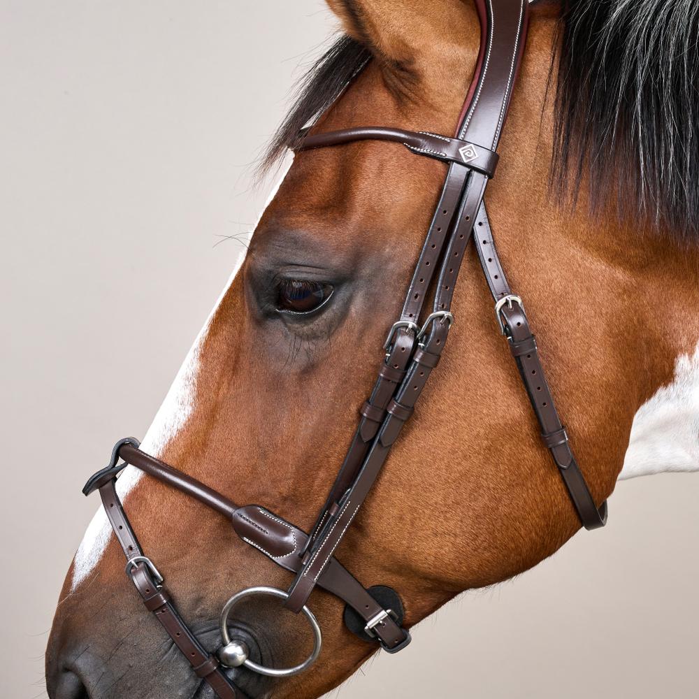 Round Leather Bridle WO | Dy'on | Comfort — Image 4