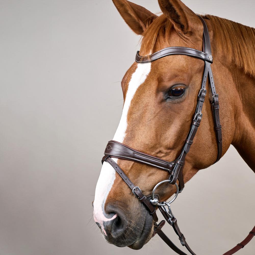 Working Motion Bridle WO | Dy'on | versatile — Image 17