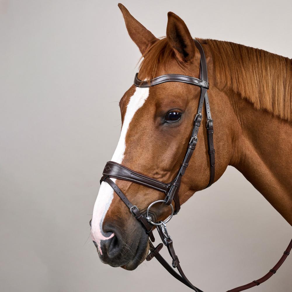 Working Motion Bridle WO | Dy'on | versatile — Image 18