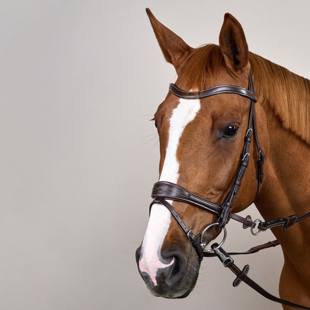 Working Motion Bridle WO | Dy'on | versatile — Image 19
