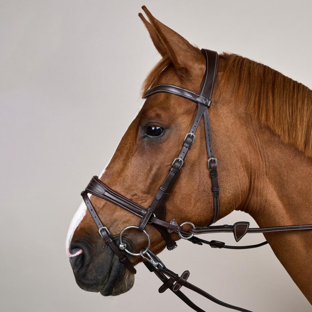 Working Motion Bridle WO | Dy'on | versatile — Image 20