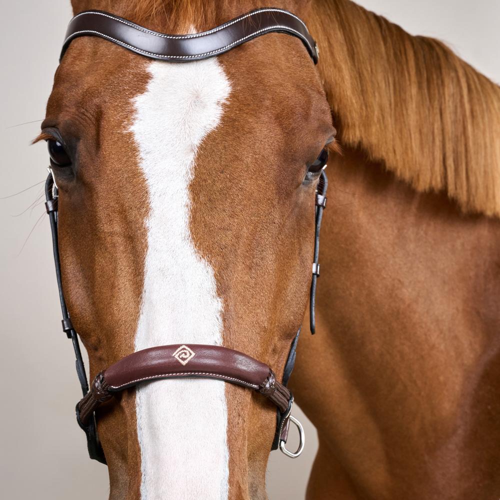 Bitless Bridle WO | Dy'on | bitlesscomfort — Image 10