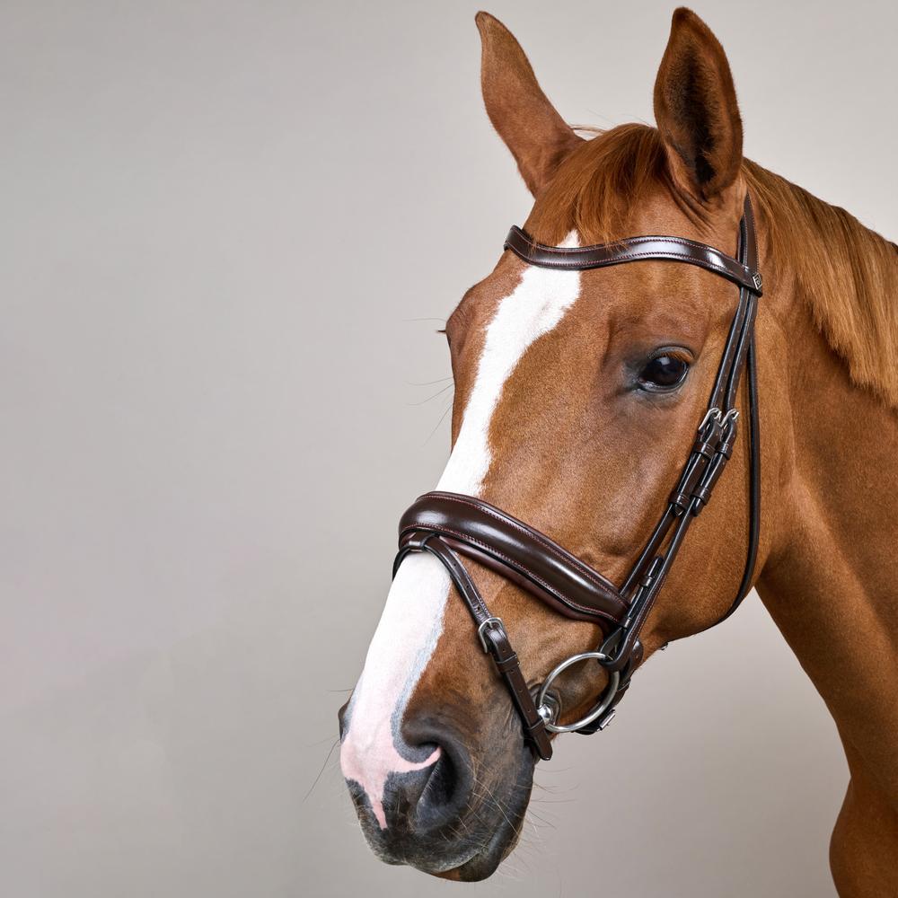 Matte Large Crank Noseband Bridle With Flash WO | Dy'on | Comfort — Image 7