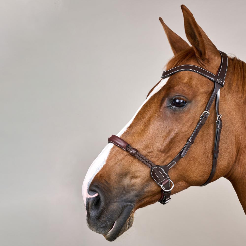 Bitless Bridle WO | Dy'on | bitlesscomfort — Image 9