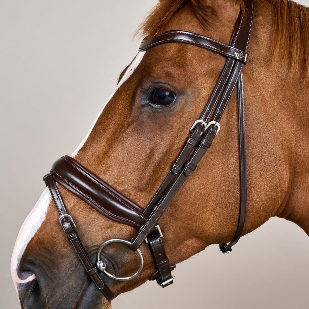 Matte Large Crank Noseband Bridle With Flash WO | Dy'on | Comfort — Image 8
